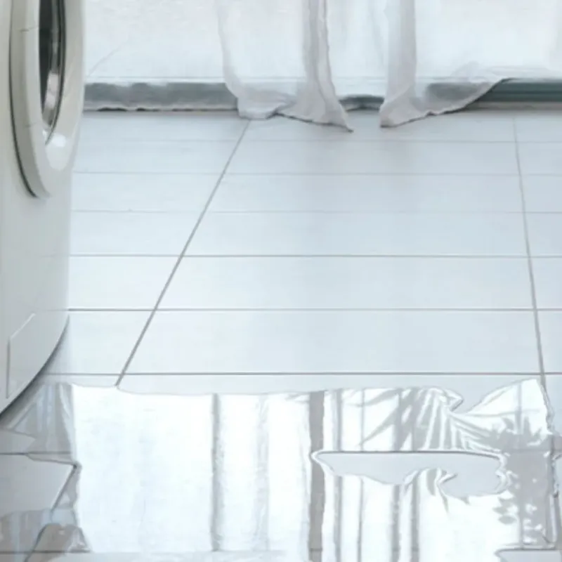 Appliance Leak Cleanup in Holt, MI