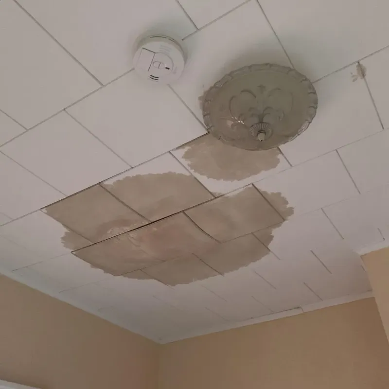 Ceiling Water Damage Repair in Holt, MI
