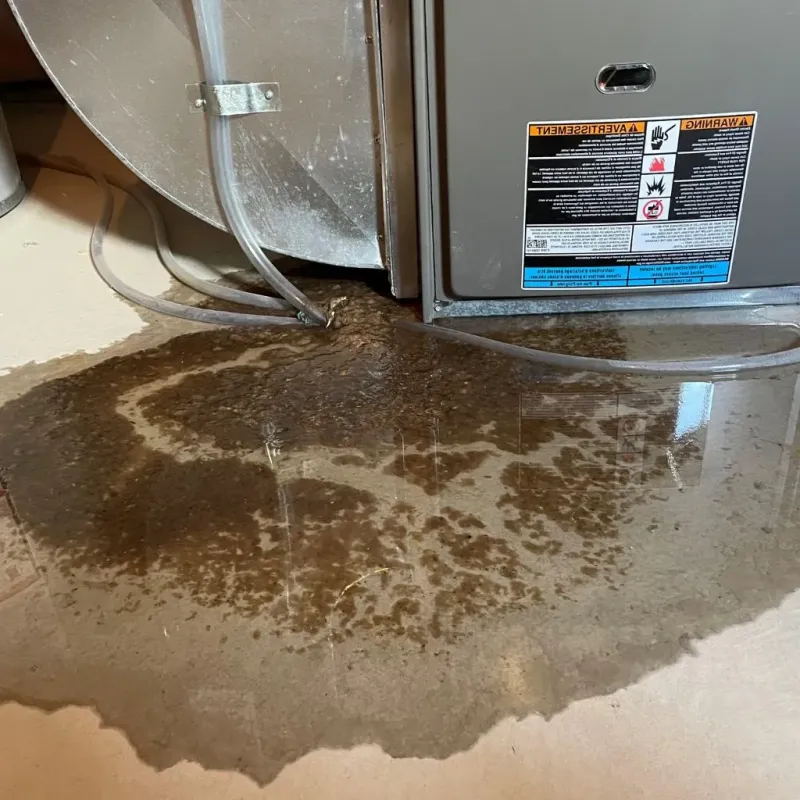 Pipe Burst and Leak Restoration in Holt, MI