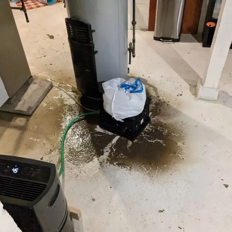 Sewage Backup Cleanup Service in Holt, MI